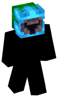 Skinfile