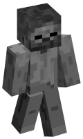 Skinfile