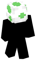 Skinfile