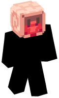 Skinfile