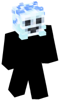 Skinfile