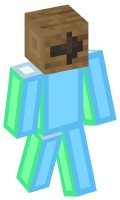 Skinfile