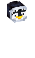Skinfile