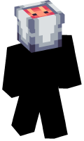 Skinfile