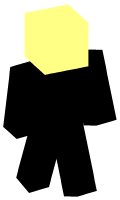 Skinfile