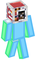 Skinfile