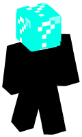 Skinfile