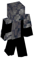 Skinfile