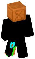 Skinfile