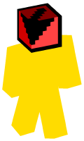 Skinfile