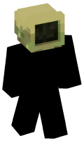 Skinfile