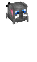 Skinfile