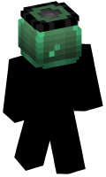 Skinfile