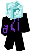 Skinfile