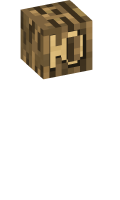 Skinfile