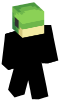 Skinfile