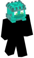 Skinfile