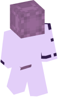 Skinfile