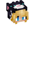 Skinfile