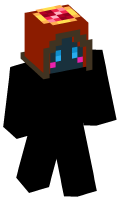 Skinfile