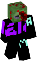 Skinfile