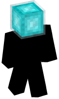 Skinfile