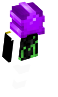 Skinfile