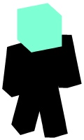 Skinfile