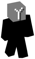 Skinfile