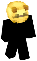 Skinfile