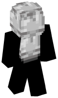 Skinfile