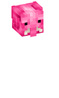 Skinfile
