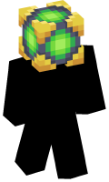 Skinfile