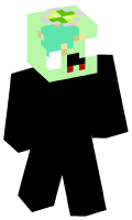 Skinfile
