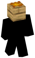 Skinfile