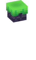 Skinfile