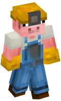 Skinfile