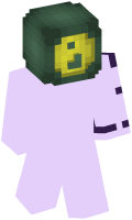 Skinfile