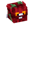 Skinfile