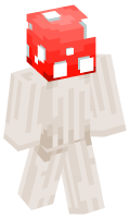 Skinfile