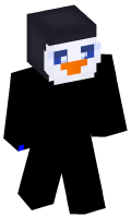 Skinfile