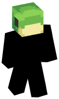 Skinfile