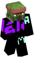 Skinfile
