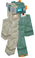 Skinfile
