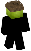 Skinfile
