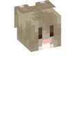 Skinfile