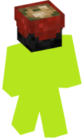 Skinfile