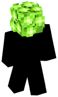 Skinfile