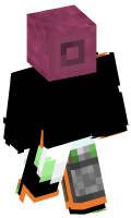 Skinfile