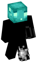 Skinfile